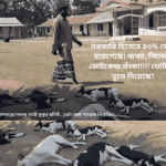 ৪৩% ভোট বনাম ফাঁকা কেন্দ্র: ডিজিটাল পরিসংখ্যান নাকি ভুতুড়ে ভোটার?