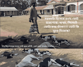 ৪৩% ভোট বনাম ফাঁকা কেন্দ্র: ডিজিটাল পরিসংখ্যান নাকি ভুতুড়ে ভোটার?